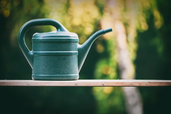 watering-can-gc16c56640_1920